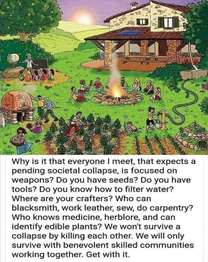 This meme is a humorous illustration of a post-apocalyptic village where people have adapted to survive. The image shows a diverse group of people, including farmers, craftsmen, and medical professionals, working together to build a community. The text at the bottom of the image reads, "Why is it that everyone I meet, that expects a pending societal collapse, is focused on weapons? Do you have seeds? Do you have tools? Do you know how to filter water? Where are your crafters? Who can blacksmith, who can sew, who can heal? We won't survive a collapse by killing each other. We need to work together."